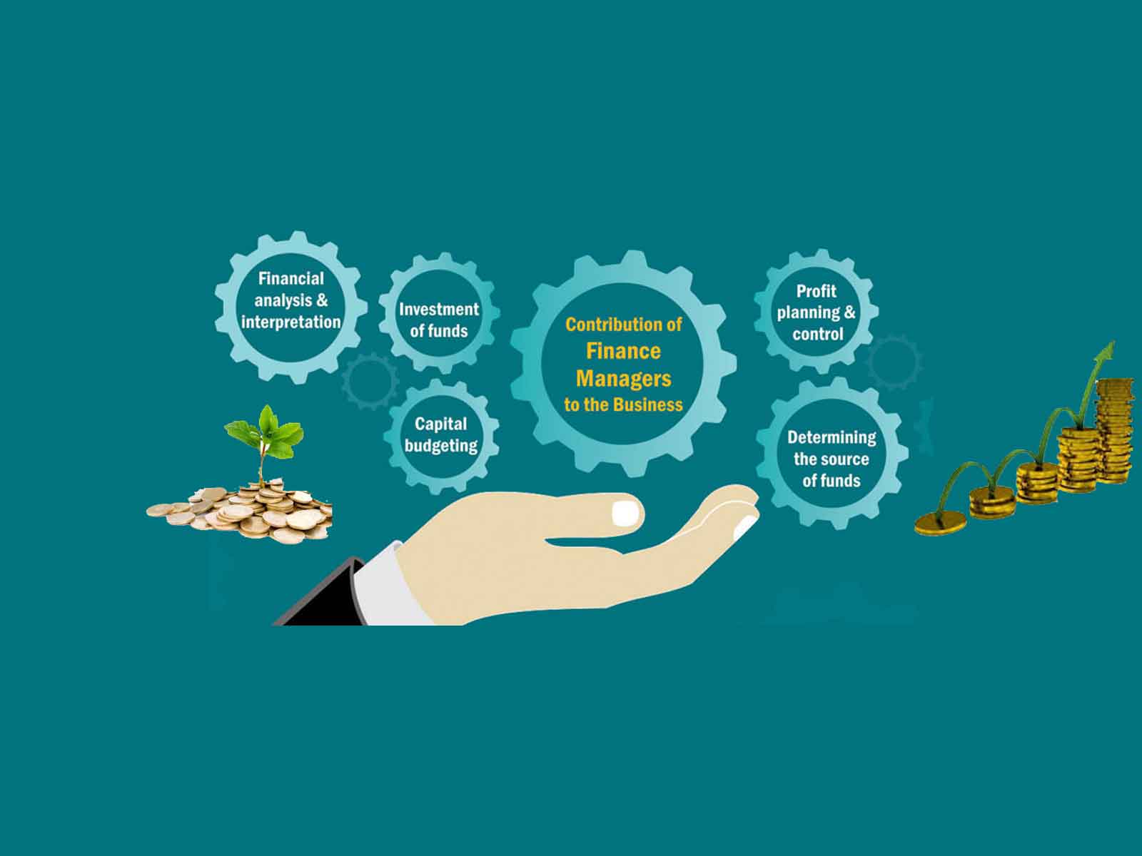 Business growth solutions